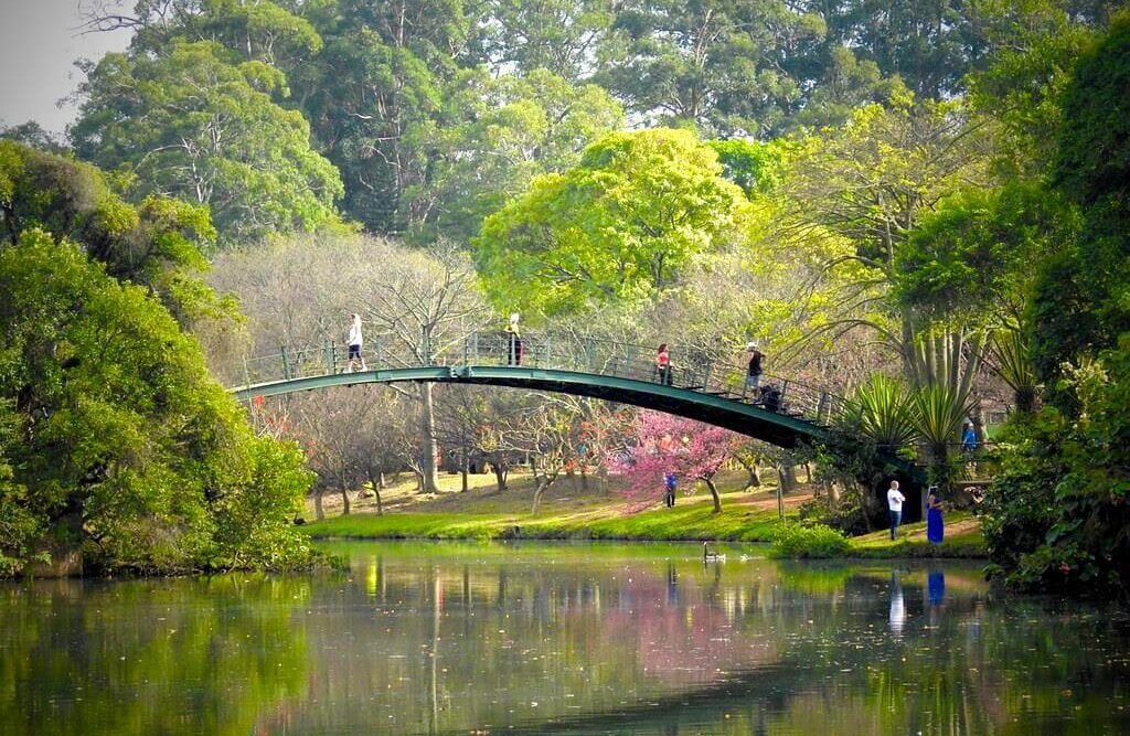 Parque_Ibirapuera (1)