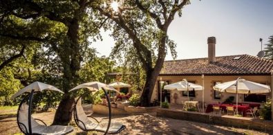 tili-vini-winery-place_worfdg (1)